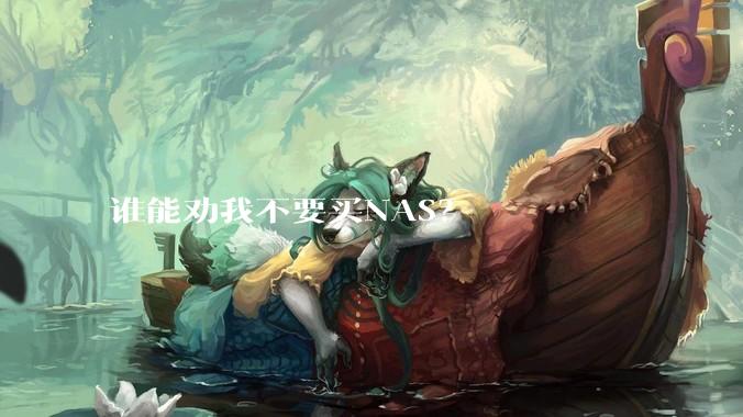 谁能劝我不要买NAS？