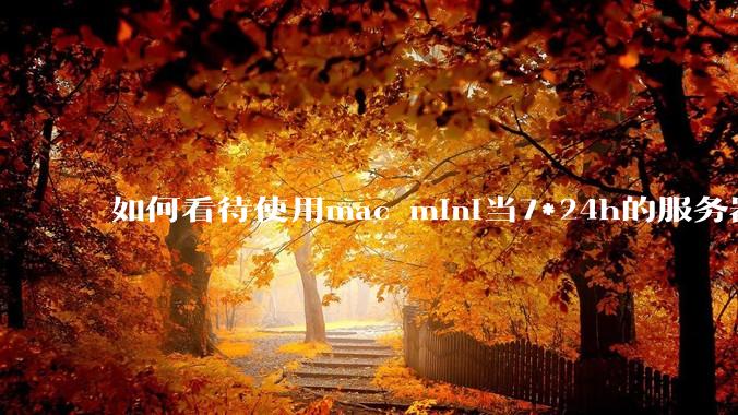 如何看待使用mac mini当7*24h的服务器？