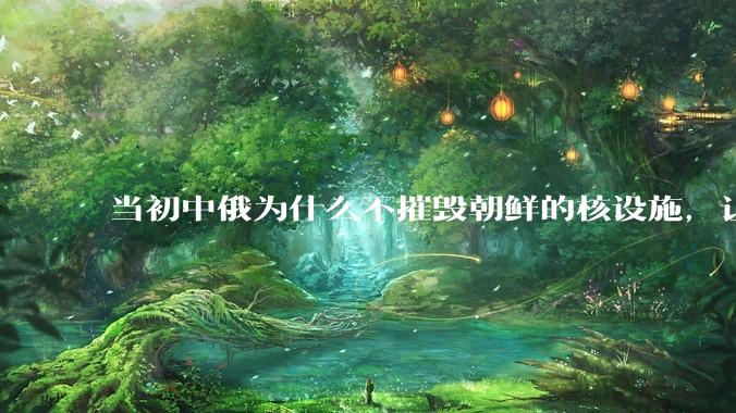 当初中俄为什么不摧毁朝鲜的核设施，让朝鲜拥有了自己的核武器？